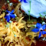 Photo shows a beautiful bowl of pork chili verde garnished with flowers.