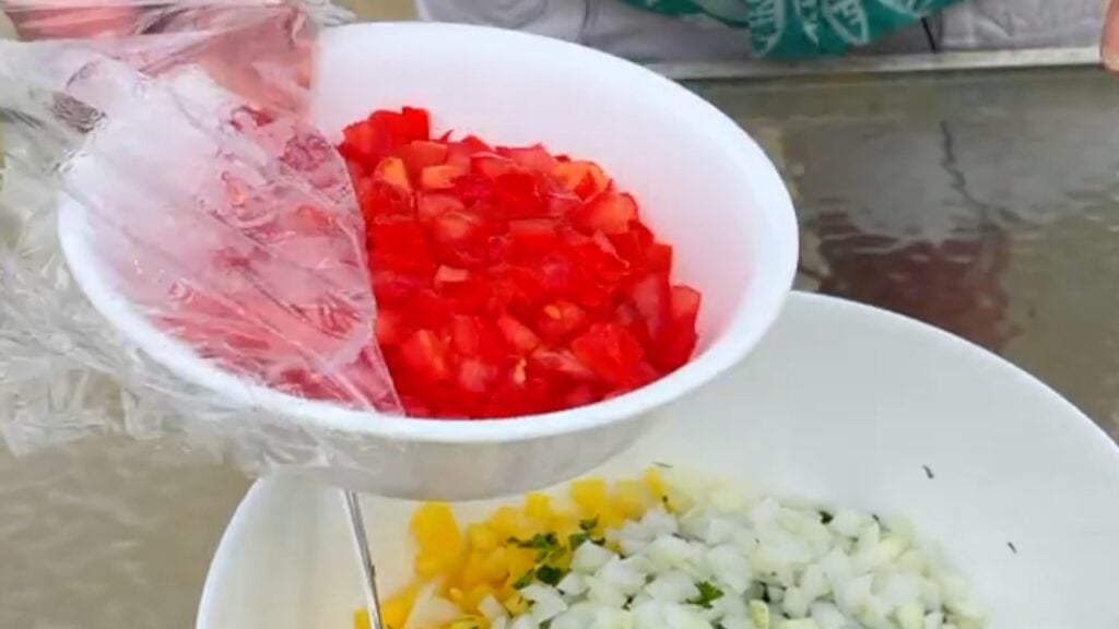 Photo shows a bowl of diced tomatoes