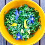 Photo shows a Kale Caesar Salad garnished with borage and oregano leaves